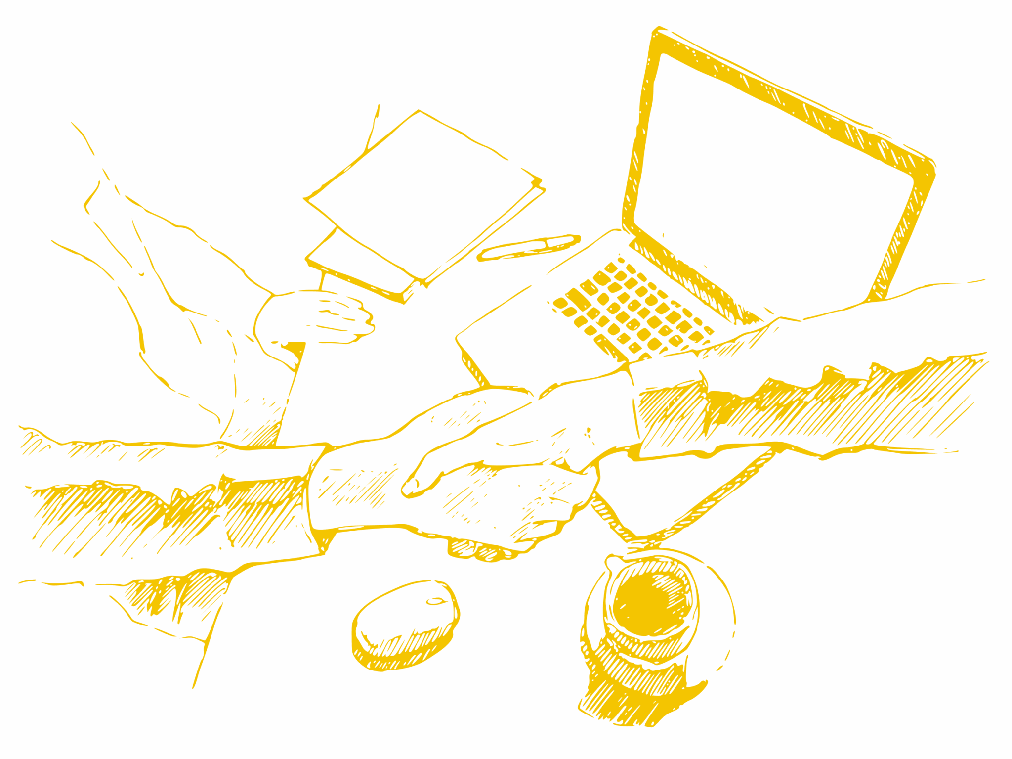 vzblt team